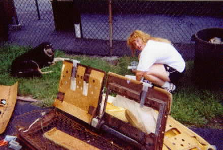 The seat 